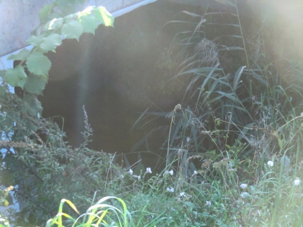 L 28 Wiesenstraßenbrücke / Fleethgraben