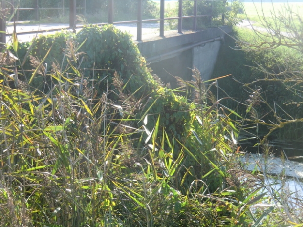 Berggstraßenbrücke / Abflußgraben vom Galenbecker See
