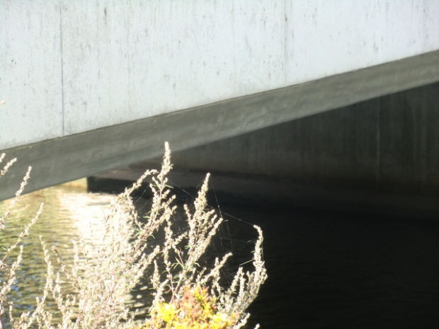 L 31 Dorfstraßenbrücke / Zarow