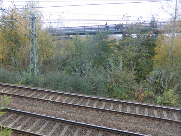 Schwedter Steg , 25. Jahrestag Mauerfall