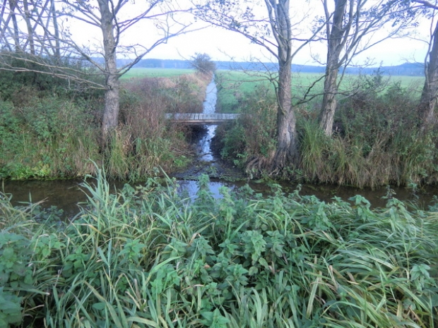 Fußwegbrücke / Hauptgrabenseitenverbindung