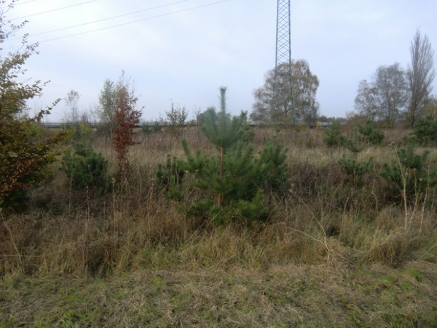 Genthiner Straßenbrücke / EU Strecke Rathenow - Stendal