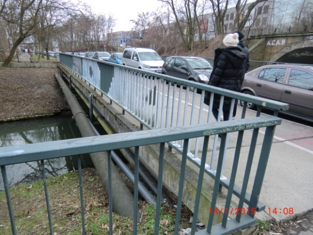 Straßebrücke Am Bahndamm / Wuhle, im Bildvordeergrund