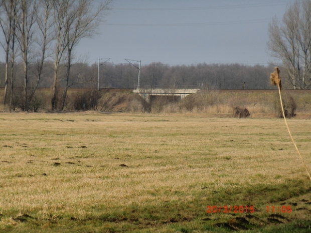 EÜ Strecke BAR im Südabschnitt / Nuthegraben - Lilograben