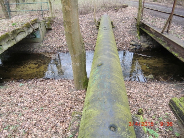 Rohrbrücke im Forst Fredersdorfer Mühlenfließ , in der Bildmitte
