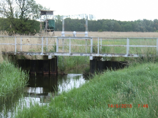 Arbeitswegbrücke am Sperrwerk / Saugraben