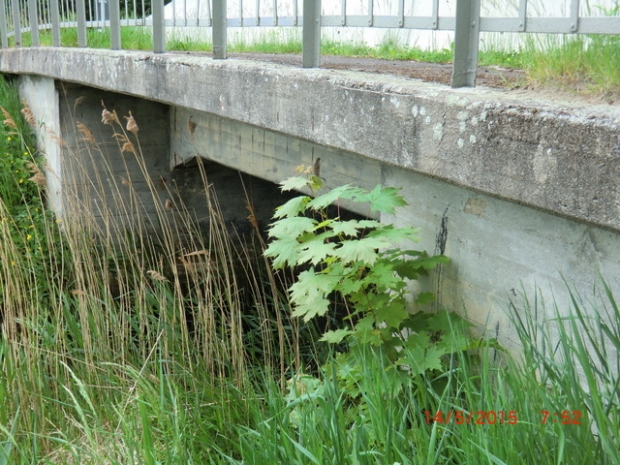 Am Fischer Kietz Straßenbrücke / Kietzer Fließ