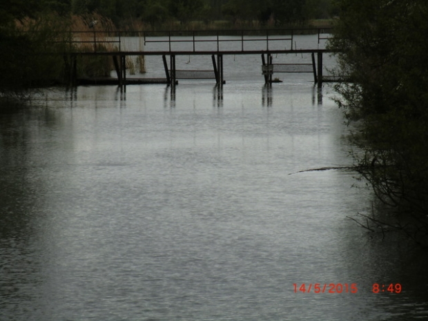 Fußwegbrücke / Nieplitz