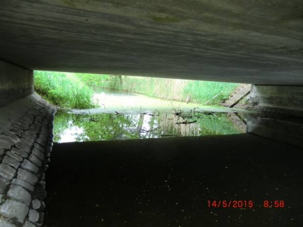 Tremsdorfer Dorfstraßenbrücke / Königsgraben