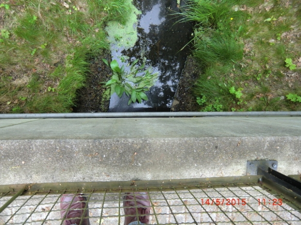 L 793 Straßenbrücke / Fließ nahe Waldfrieden