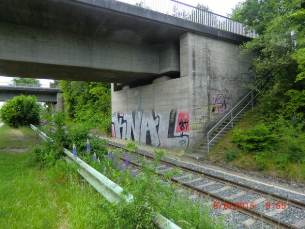 L 221 Bilmer Strauch Landstraßenbrücke / Elbe-Seitenkanal und 1 Gleis, im Bildhintergrund