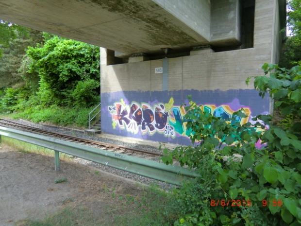 L 221 Bilmer Strauch Landstraßenbrücke / Elbe-Seitenkanal und 1 Gleis