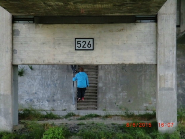 L 265 Bergstraßenbrücke / Elbe-Seitenkanal