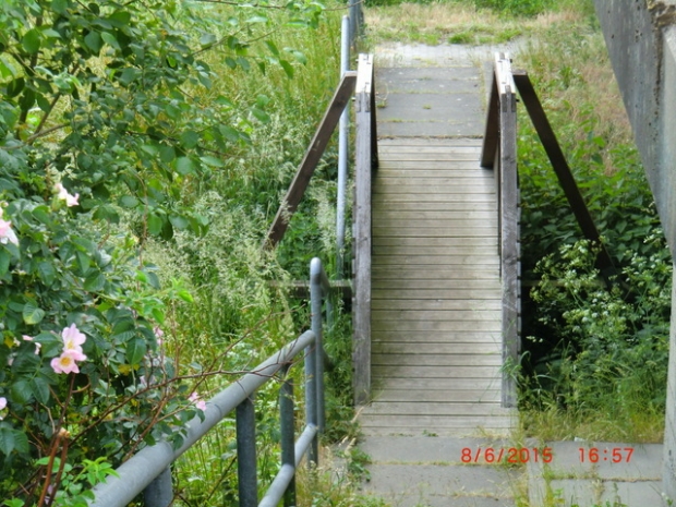 Fußwegbrücke / Graben am östlichen Widerlager der BAS 76794