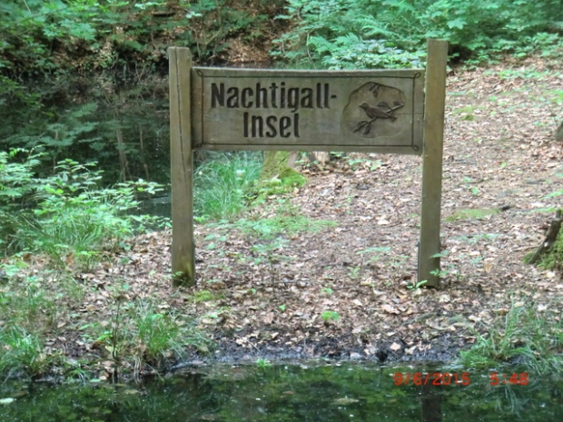 Fußwegbrücke zur Nachtigalleninsel / Fließ