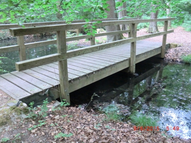 Fußwegbrücke zur Nachtigalleninsel / Fließ