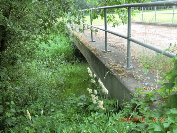 Feldwegbrücke / Rühener