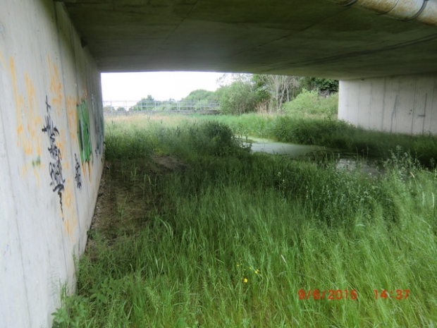 Feldstraßenbrücke / Rühener Seitengraben , im Bildhintergrund