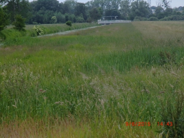 Feldstraßenbrücke / Allerentlaster 1