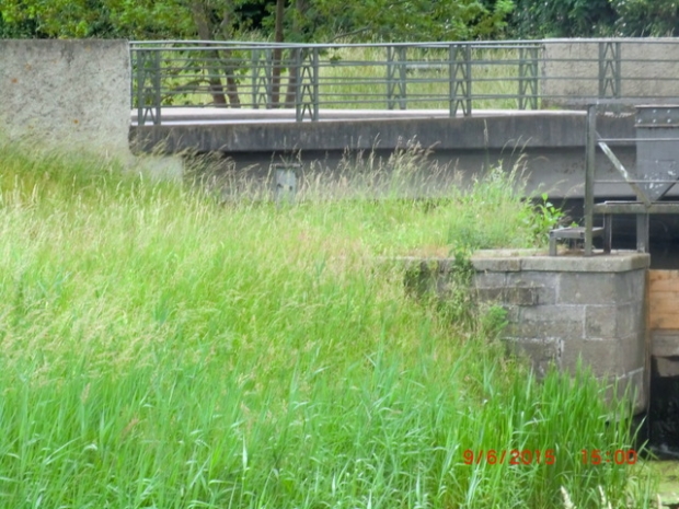 B 244 Kirchstraßenbrücke / Aller