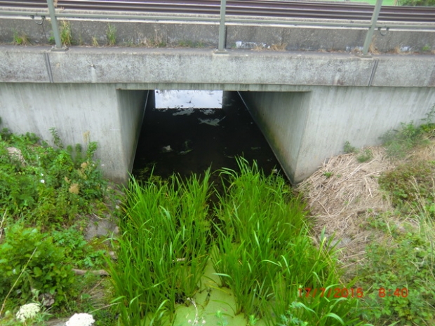 EÜ Strecke Stendal - Wolfsburg / Rietzgraben