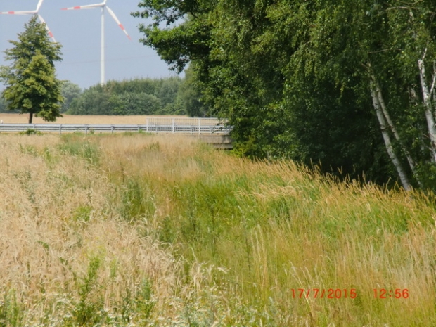 B 188 Bundesstraßenbrücke / Schauer Beeke