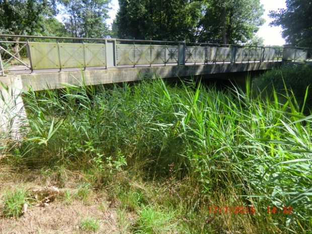 B 188 Oebisfelder Straßenbrücke / Ohre