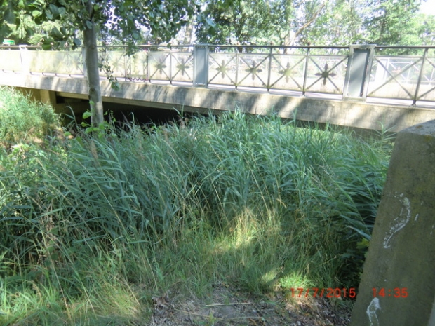 B 188 Oebisfelder Straßenbrücke / Ohre