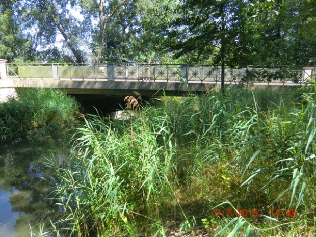 B 188 Oebisfelder Straßenbrücke / Ohre