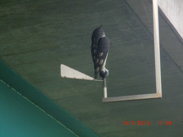 L 52 Niegripper Chausseebrücke / Elbe - Havel - Kanal