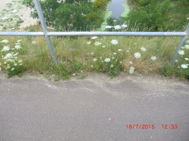 K 1208 Berliner Dammbrücke / Alter Ihlekana