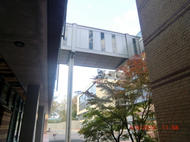 Fußwegbrücke im UKB Berlin / Betriebshof