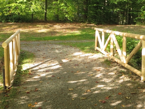 Fußwegbrücke / Friesauzufluß am Pfotenteich