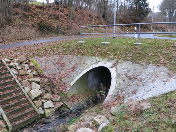 L 1101 Schleizer Straßenbrücke / Retschenbach