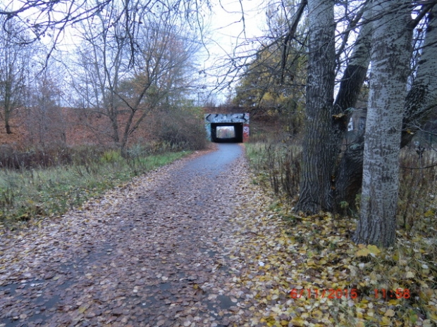 ehem.EÜ Gleis zum Verladebahnhof während russischer Besatzung / Richard - Kolkwitz - Weg
