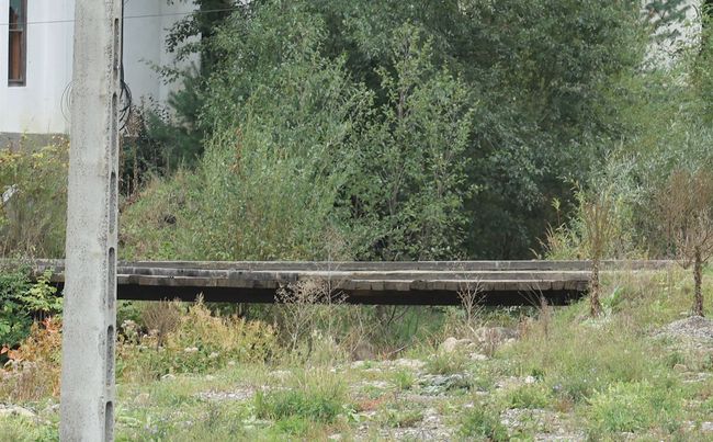 Brückenbild