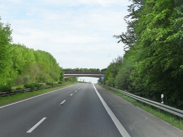 Wildbrücke bei Klein Flöthe