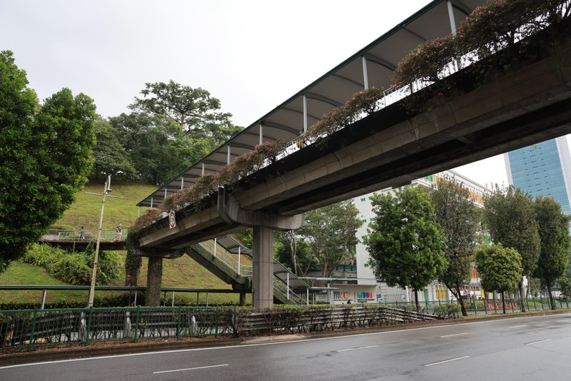 River Valley Pedestrial Bridge