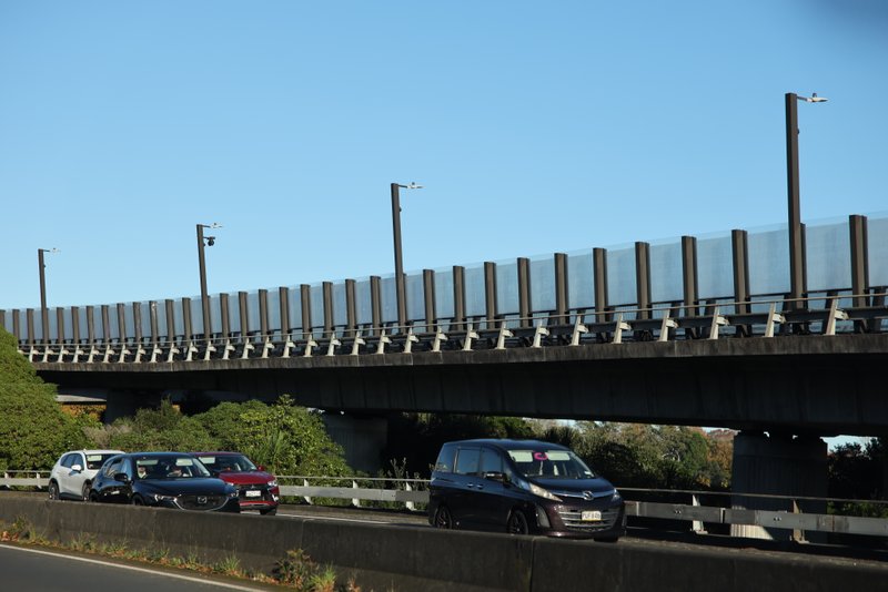 The Lightpath Bridge