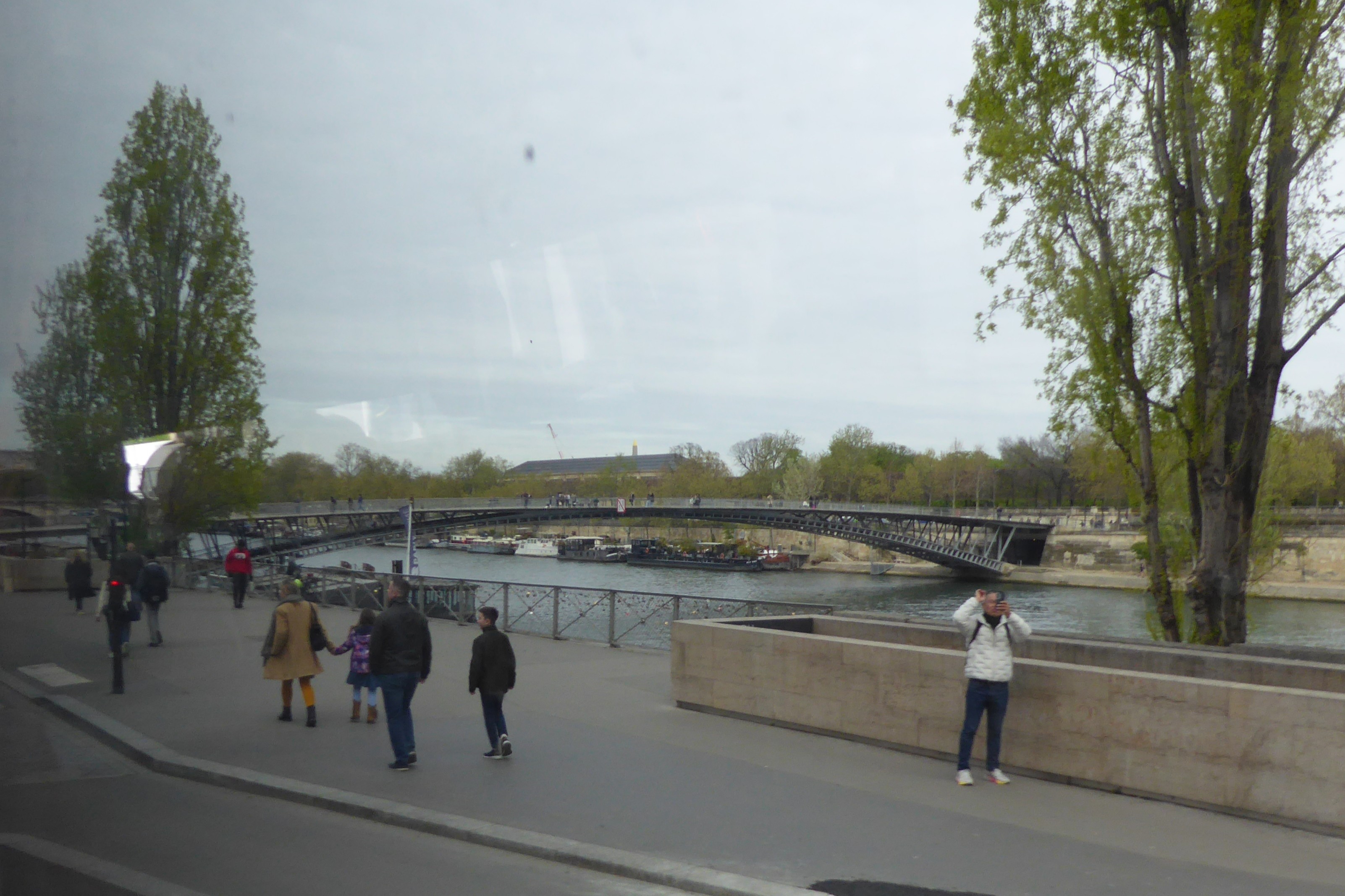 Passerelle Léopold Sédan-Seghor, Blick v. S