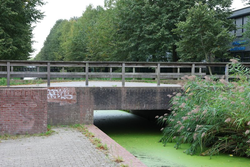 Brückenbild