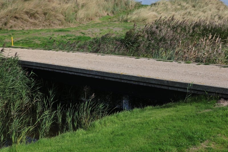 Golfnaanbrug