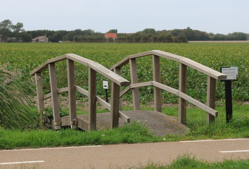 Brückenbild