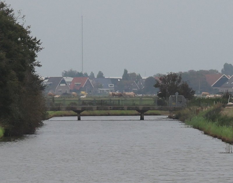 Brückenbild