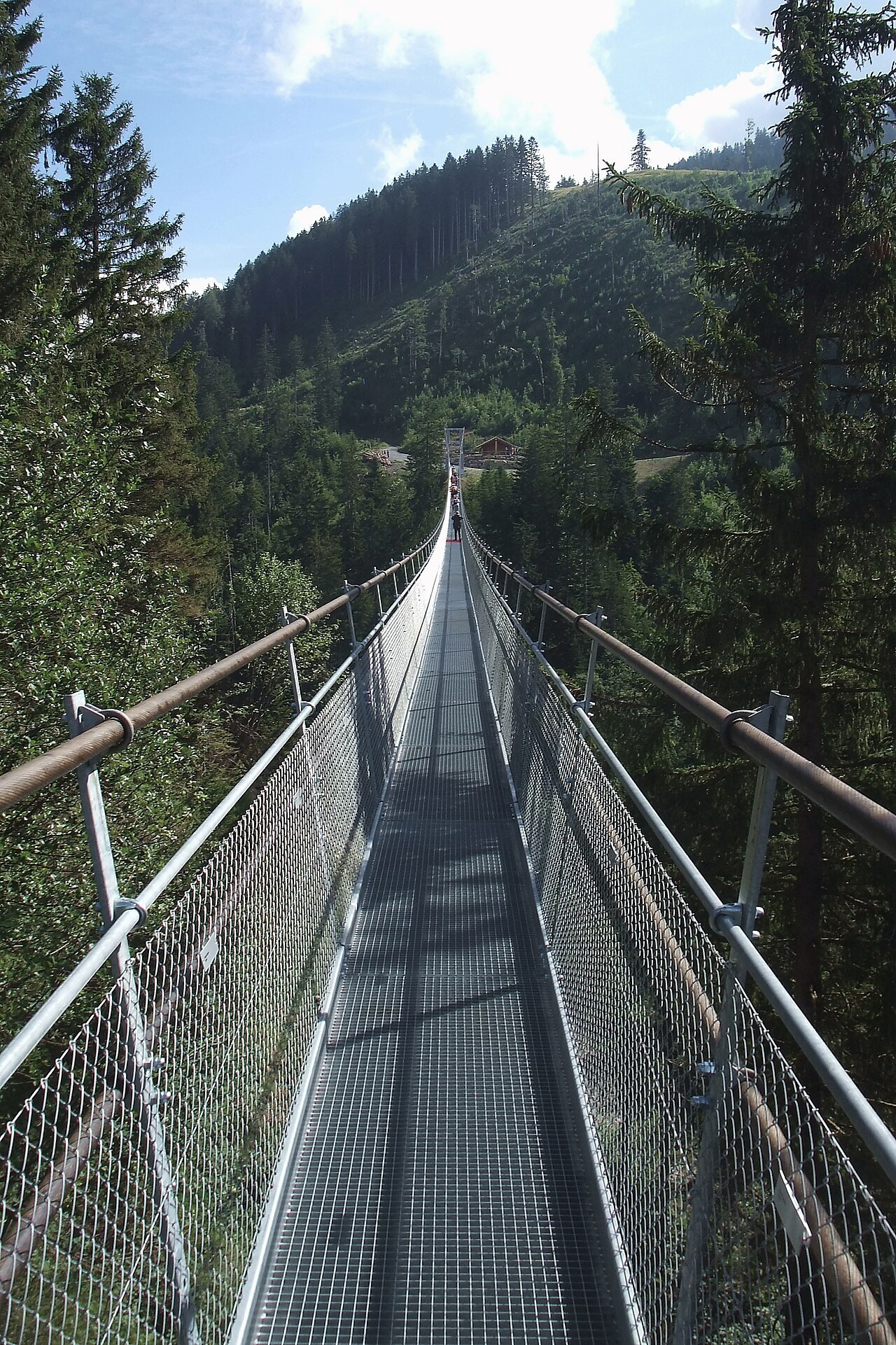Swiss Suspension Bridge / On the longest suspension bridge for pedestrians outside of Asia with a length of 374 m (1227 ft). For a world record it was not enough. The bridge has a width of 90 cm (3 ft), and at both ends as entrance a width of 1.8 m (6 ft) for a short distance. Sattel SZ, Switzerland, August 4, 2010.