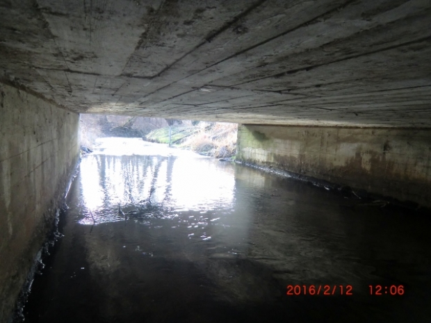 Alte B1,5 Berliner Straßenbrücke / Neuenhagener Mühlenfließ, im Bildvordergrund