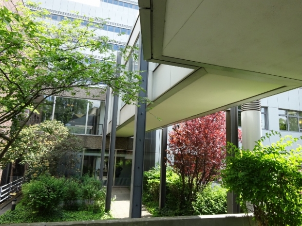 Fußwegbrücke am Infopavillion des RBB / Durchgang und Grünanlage