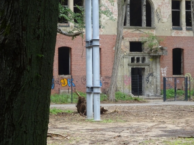 Baumkronenpfadbrücke / Waldgelände und Ruinen