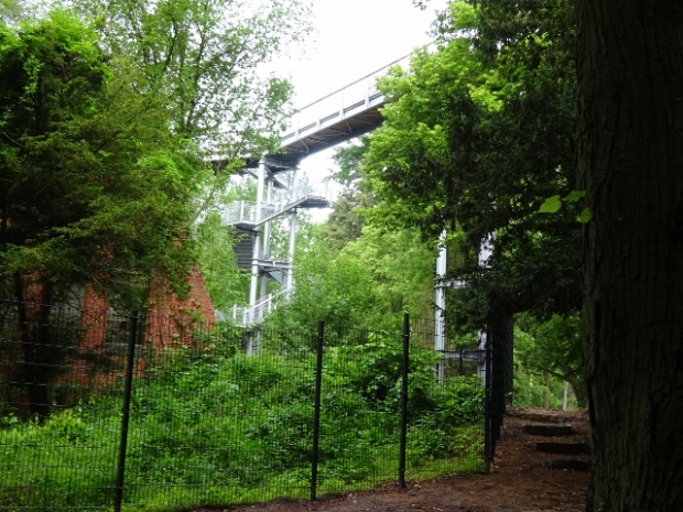 Baumkronenpfadbrücke / Waldgelände und Ruinen