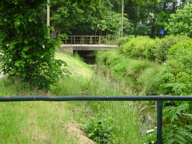 Ringstraßenbrücke / Nieplitz